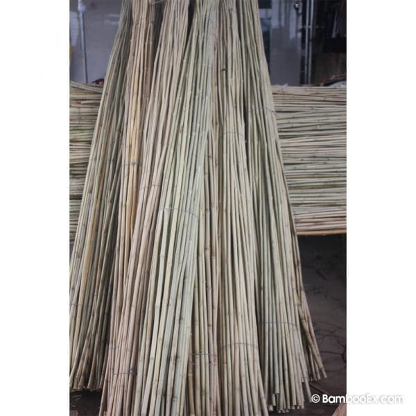 Bamboo Poles bambooex 3