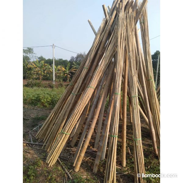 Bamboo Poles bambooex 6