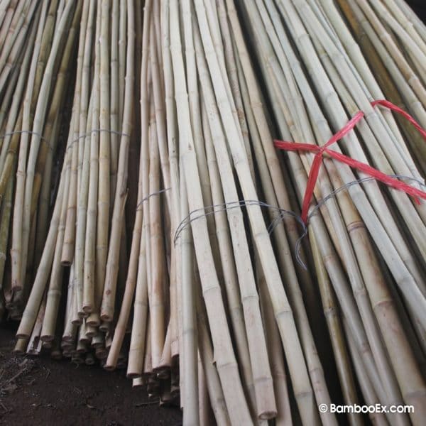Bamboo Poles bambooex 7