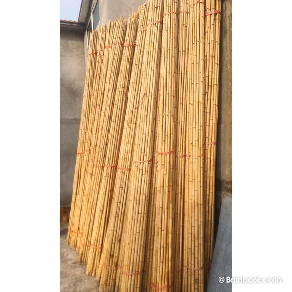 bamboo poles 3