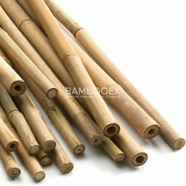 Bamboo Canes for Garden 1