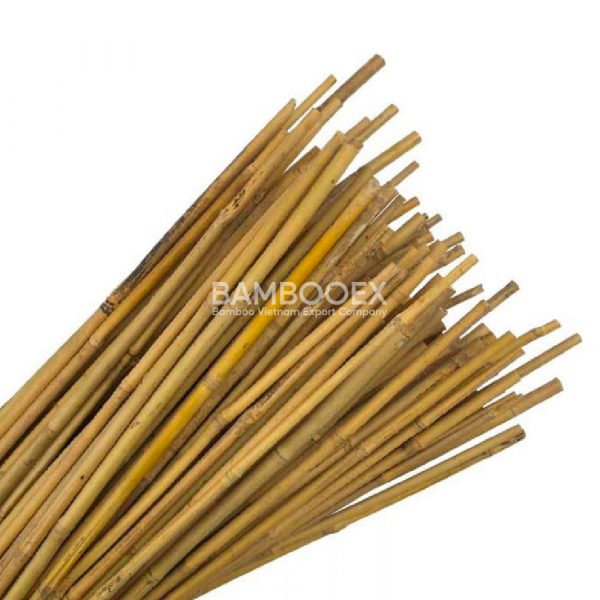 Bamboo Canes for Garden 4