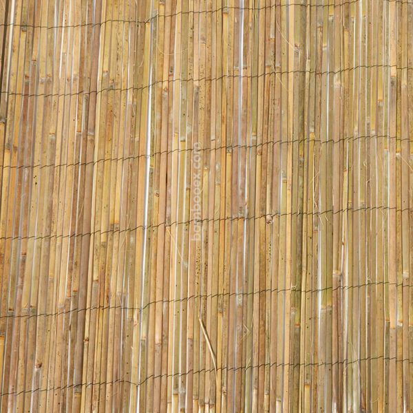 bamboo slat fence 2