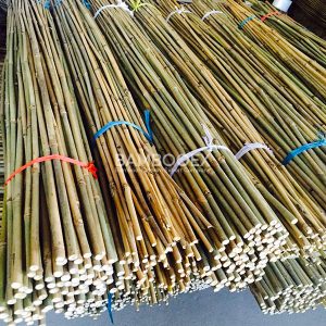 bamboo poles for garden and agriculture 5