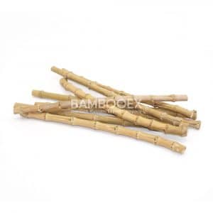 Bamboo roots bambooex vietnam 4