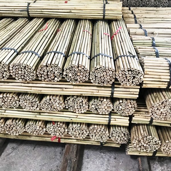 bamboo wholesale in Vietnam