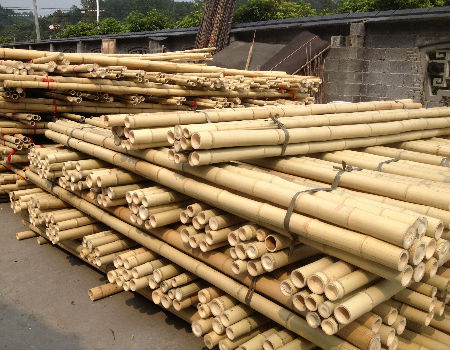 where can I buy bamboo poles in Vietnam