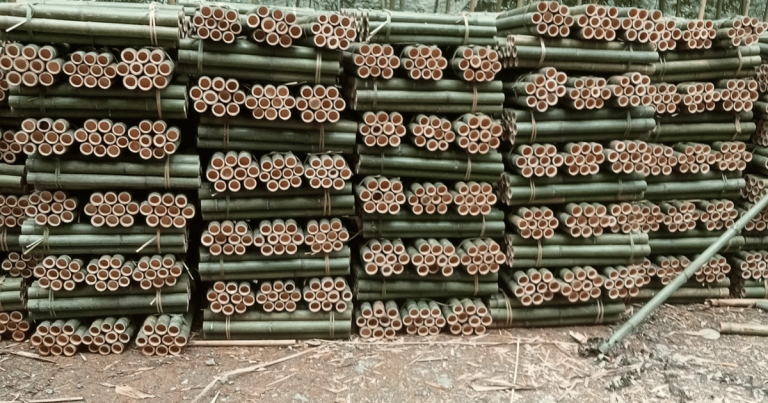 What Are The Benefits And Challenges Of Using Bamboo As A Sustainable ...